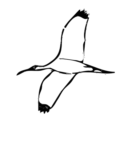 בתמונה וקטורית ציפור האיביס עץ